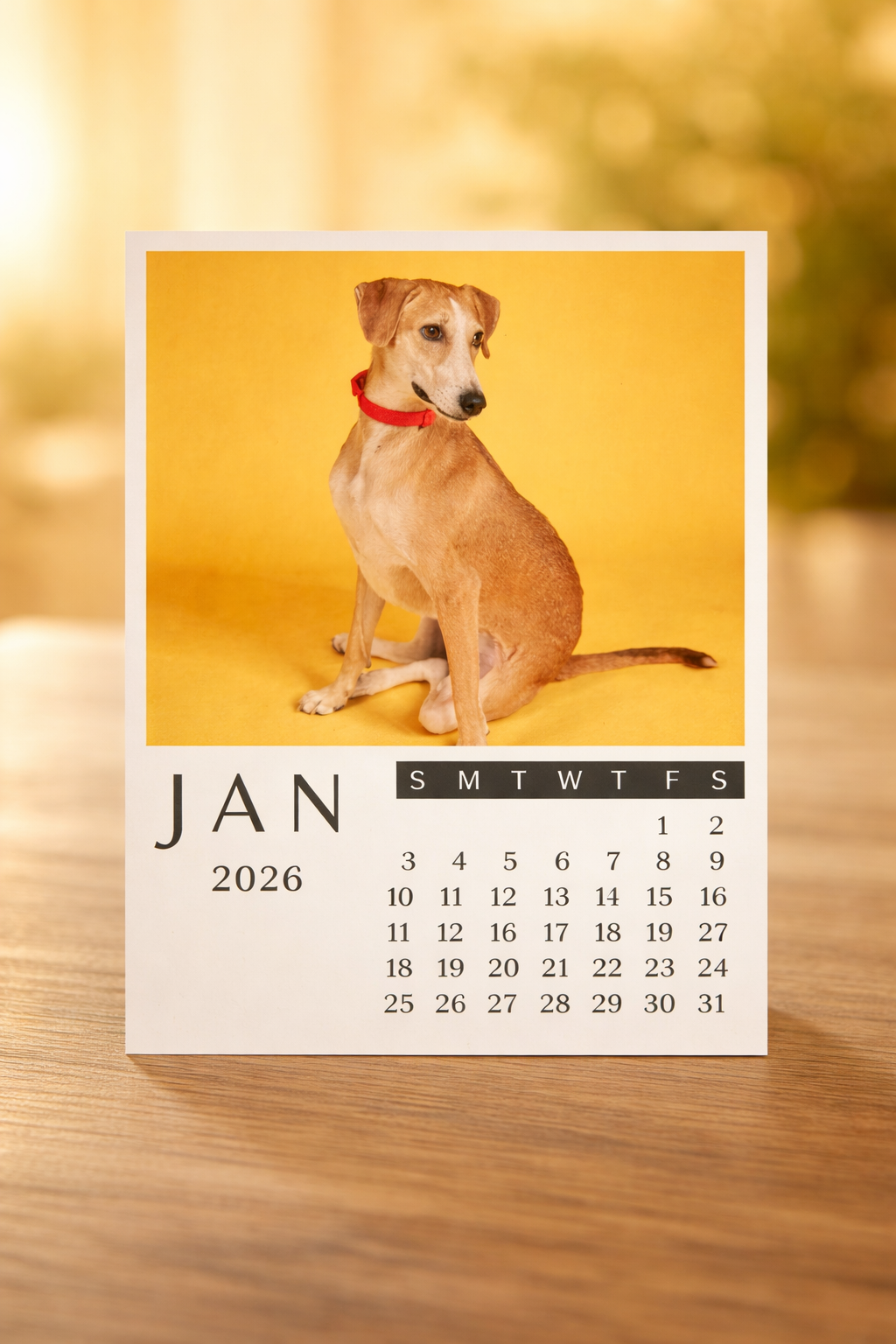 Calendar Photo Magnet Set